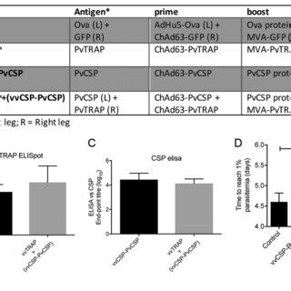 Immunogenicity and protective efficacy of an EB66 .